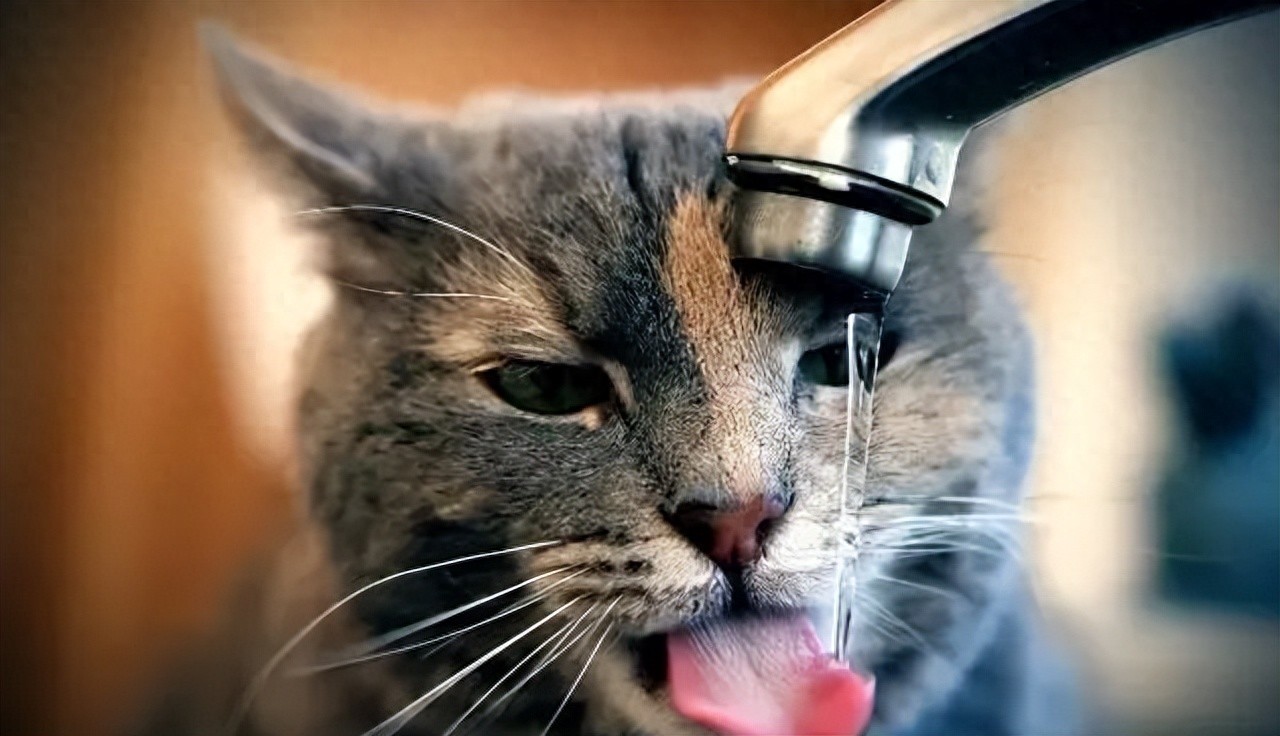 致自己的唯美句子20句，简短精致，沁人心脾