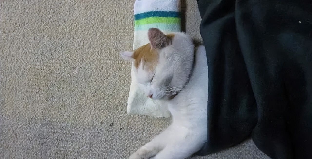 致自己的唯美句子20句，简短精致，沁人心脾