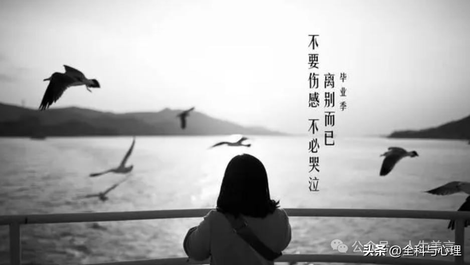 和朋友离别的唯美句子12句，哪一句更触动你的心