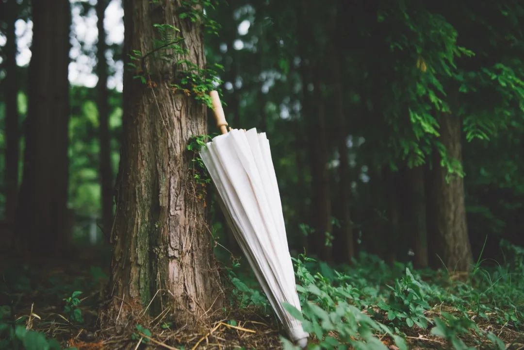 关于夏雨的诗句13首，美到极致!