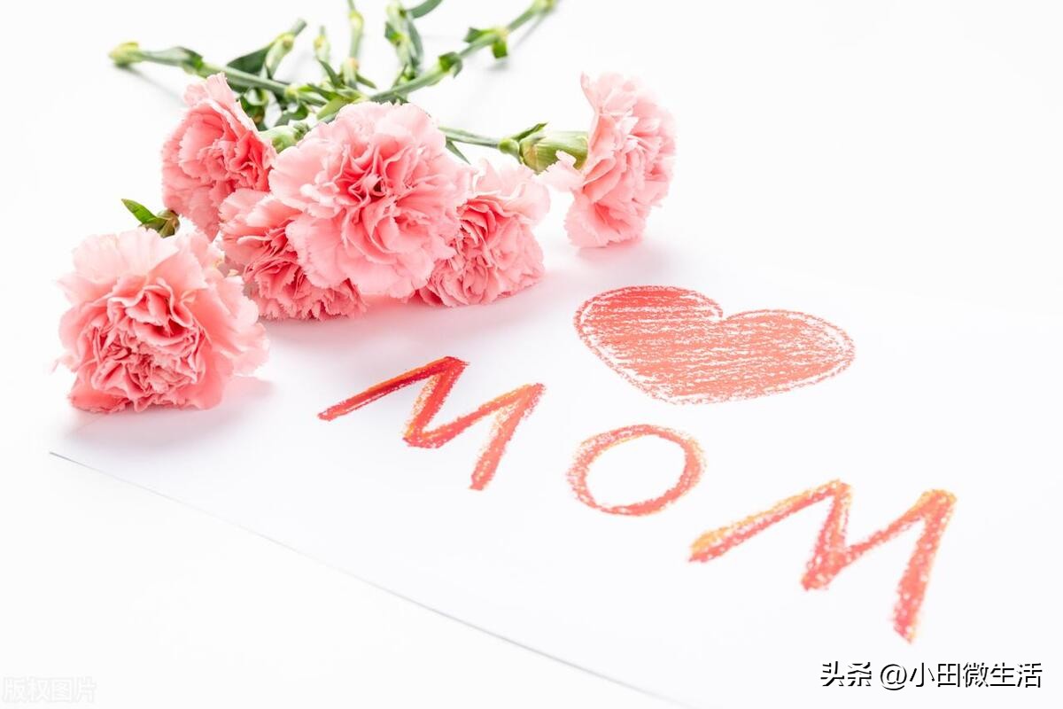 关于母爱的诗句5首，品味永恒的母爱