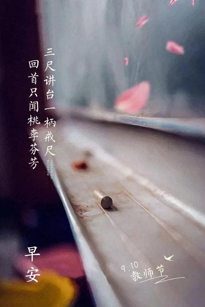 感恩老师的名言30句，致谢我们的恩师