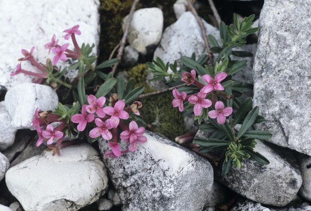 人生语录短句哲理10句，启迪智慧人生!