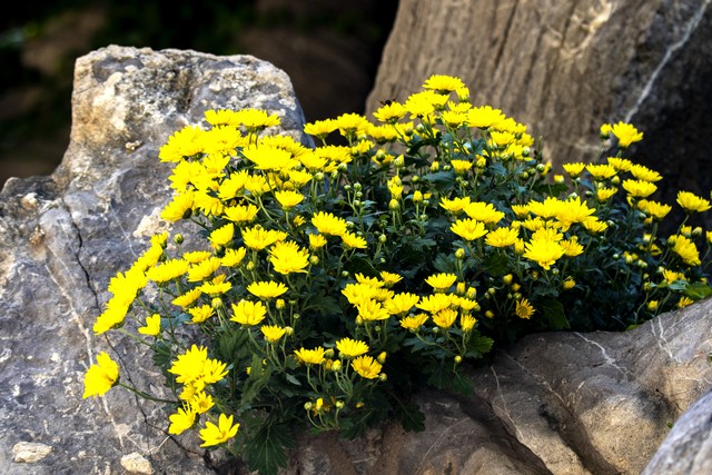 人生语录短句哲理10句，启迪智慧人生!