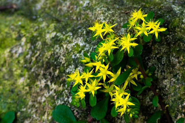 人生语录短句哲理10句，启迪智慧人生!