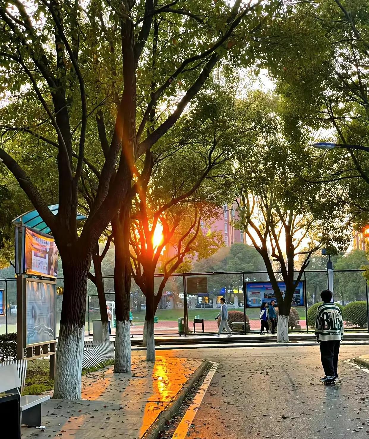 毕业季的优美句子21句，感恩时光，感谢陪伴