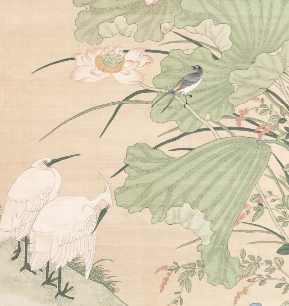 赞美荷花的诗句40句，句句花香四溢，醉人心弦!