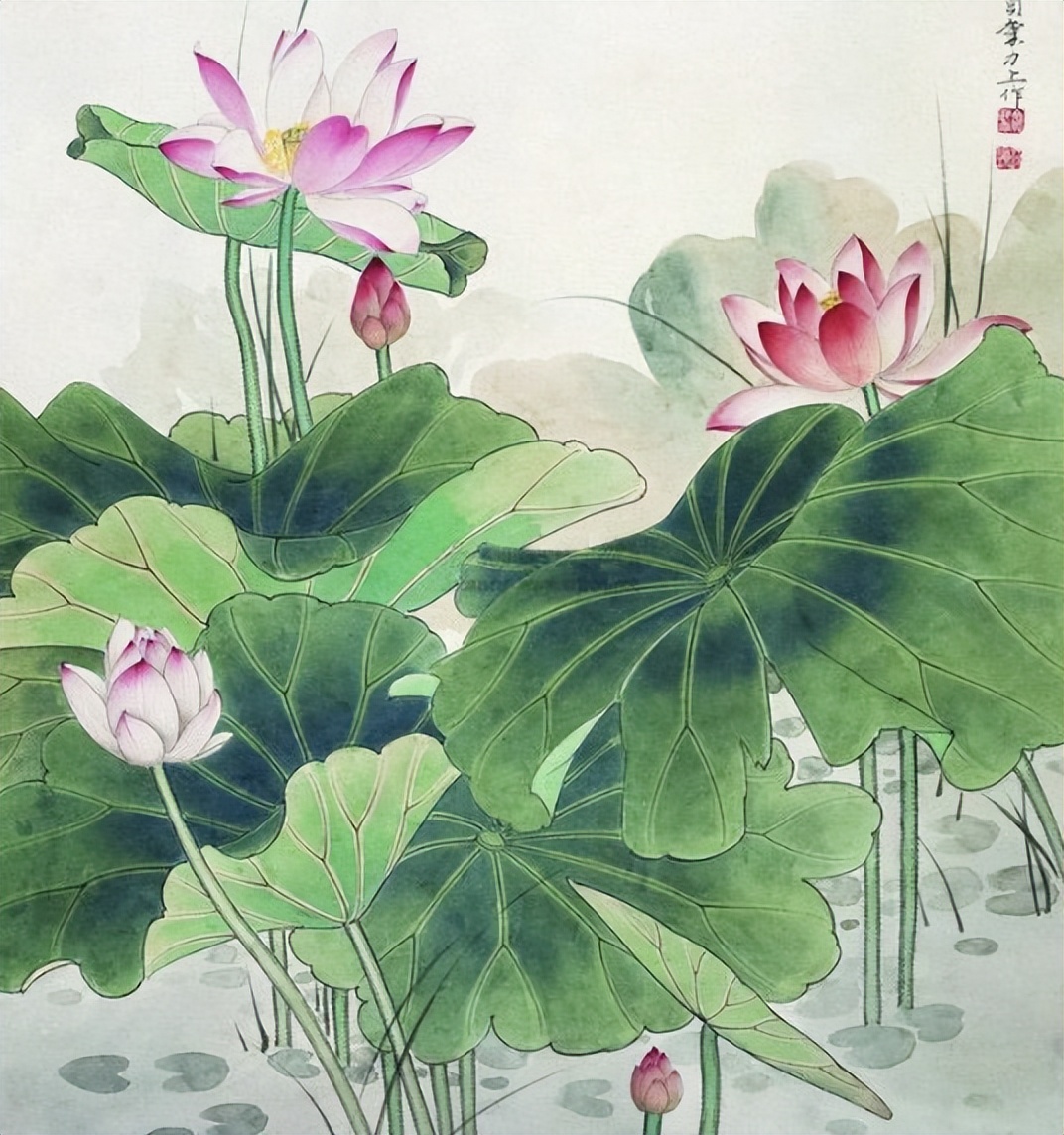 赞美荷花的诗句40句，句句花香四溢，醉人心弦!