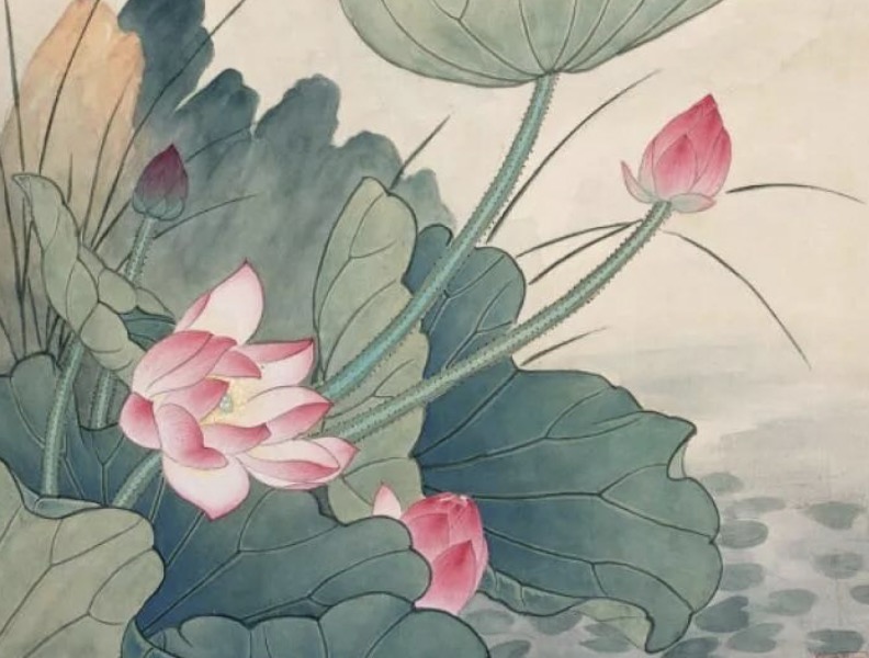 赞美荷花的诗句40句，句句花香四溢，醉人心弦!