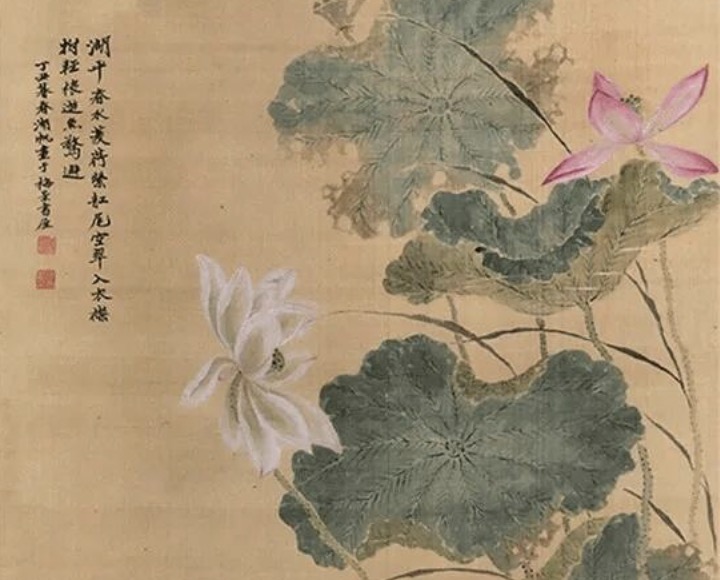 赞美荷花的诗句40句，句句花香四溢，醉人心弦!