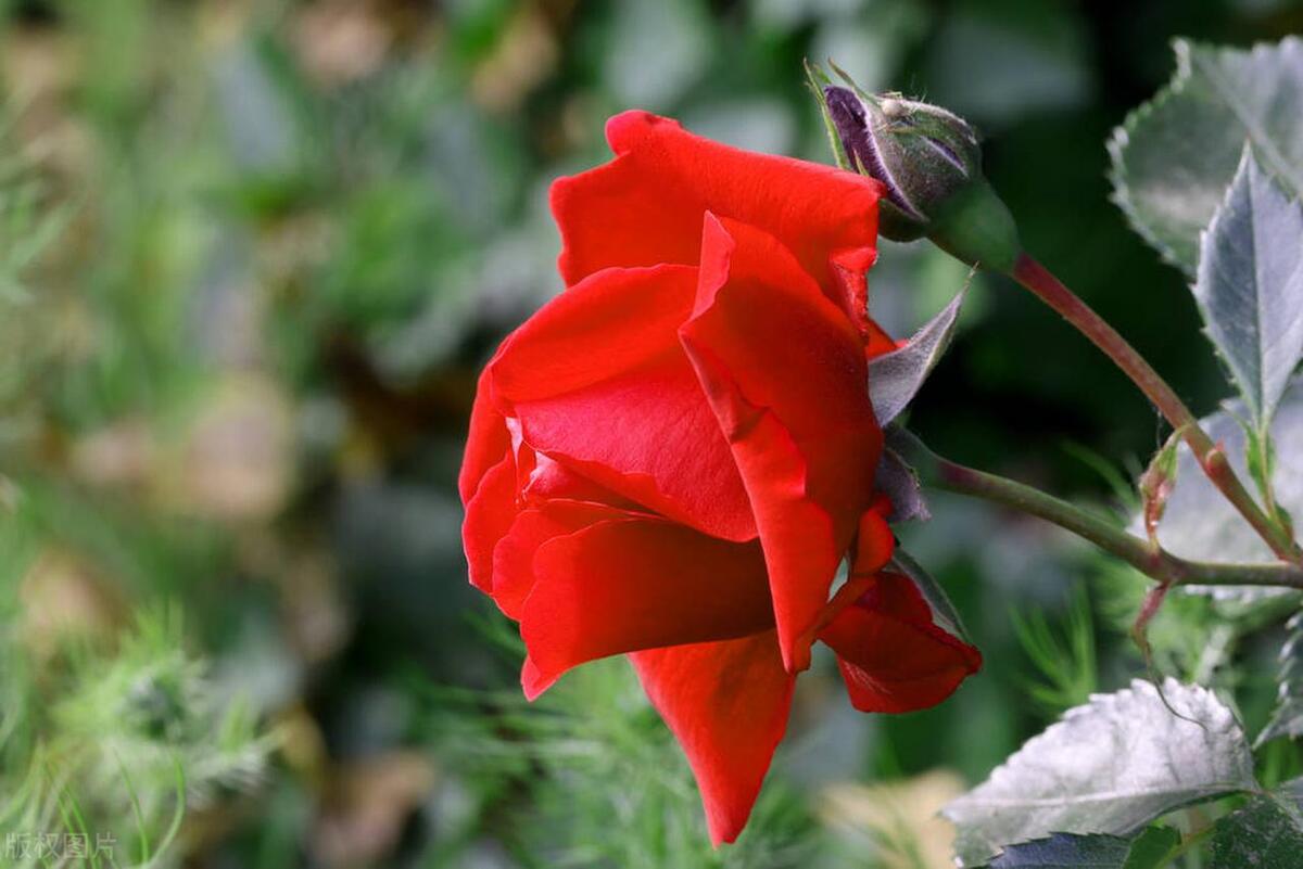 幸福最暖心短句18句，愿幸福永相伴