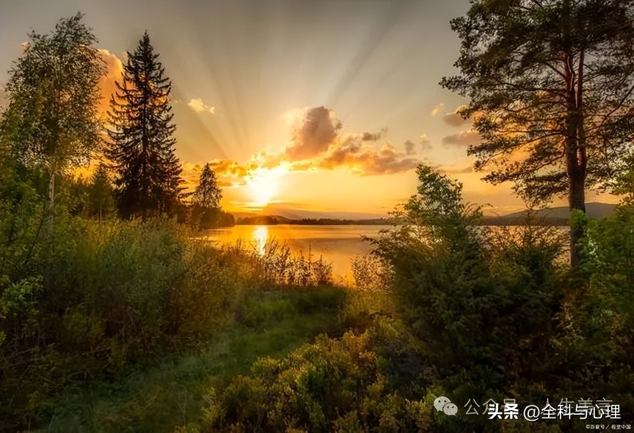 游记作文结尾优美句子12句，留住最珍贵的回忆！