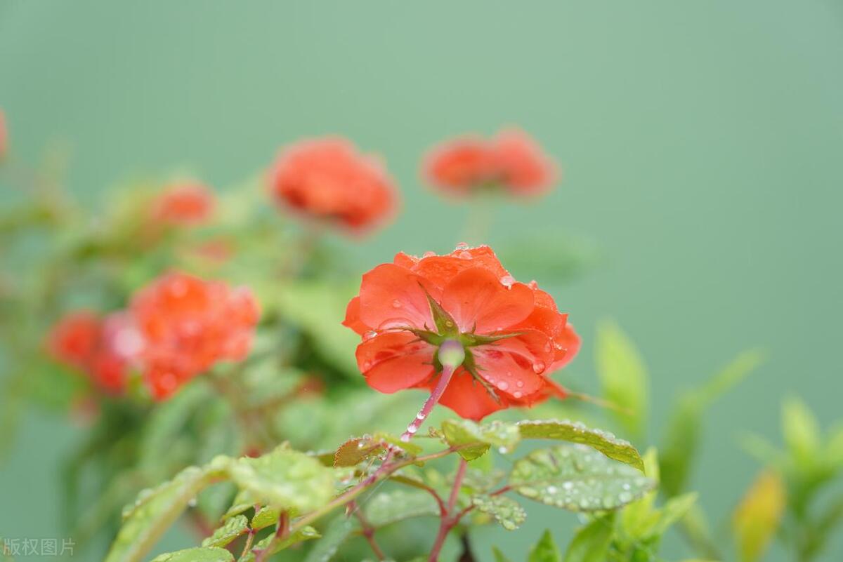 坚持不懈的名言名句16句，句句振奋人心!