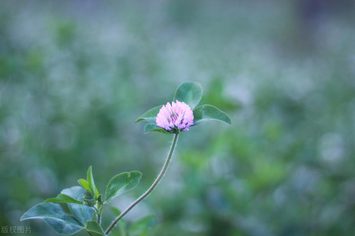 坚持不懈的名言名句16句，句句振奋人心!