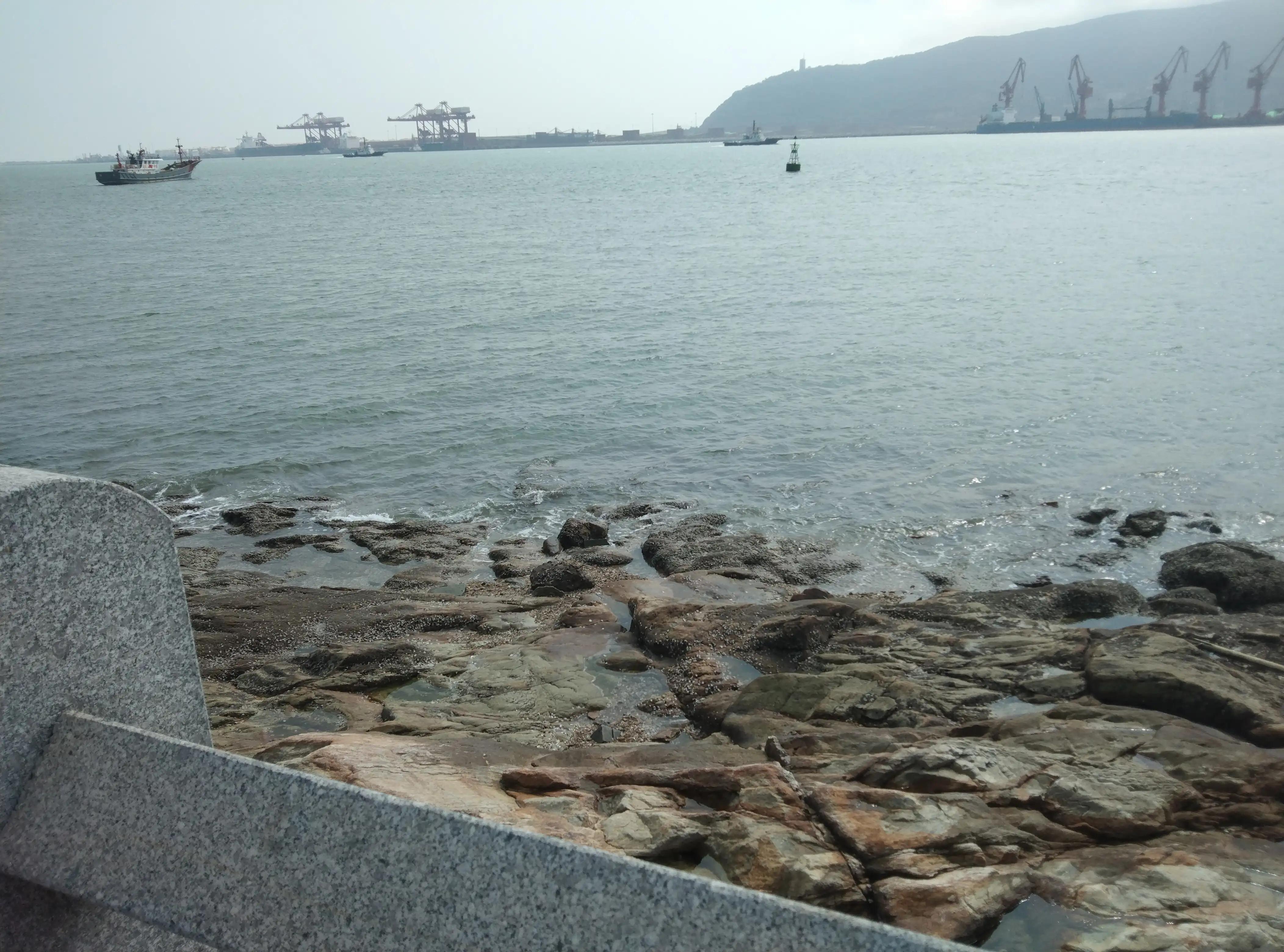 学会生活的经典句子20句，领悟生活的真谛