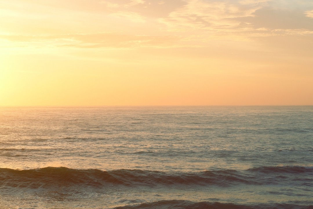 成长的路上的经典句子20句，指引你成长的智慧灯塔