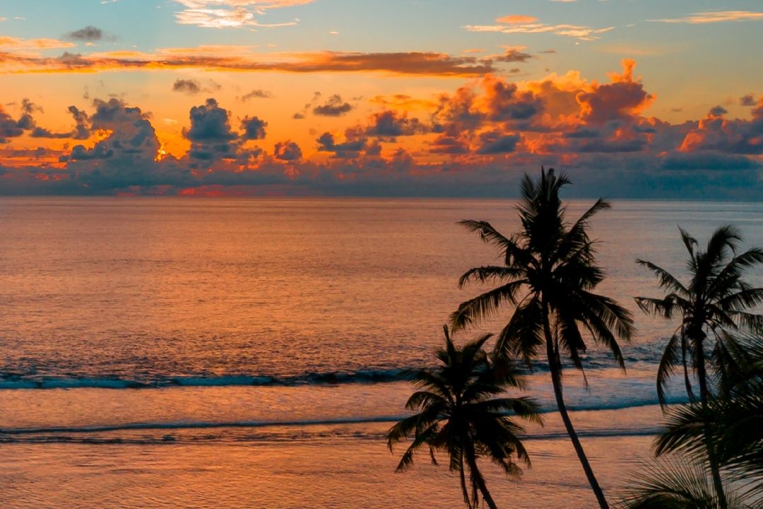 成长的路上的经典句子20句，指引你成长的智慧灯塔