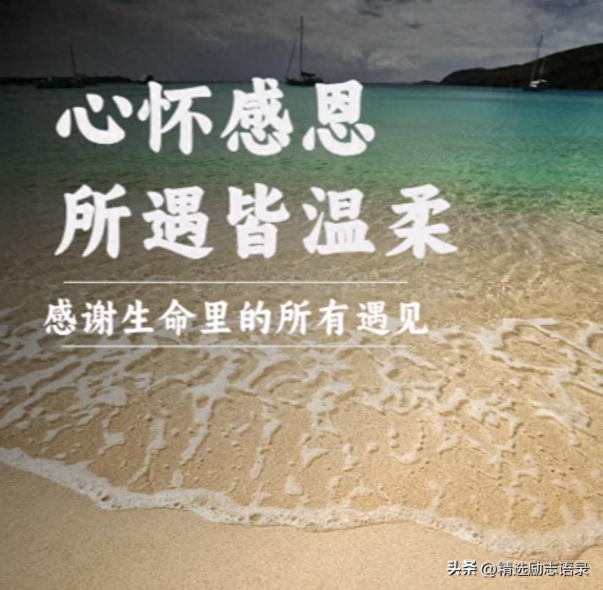 表达内心感谢的句子12句，让你的情感更有深度