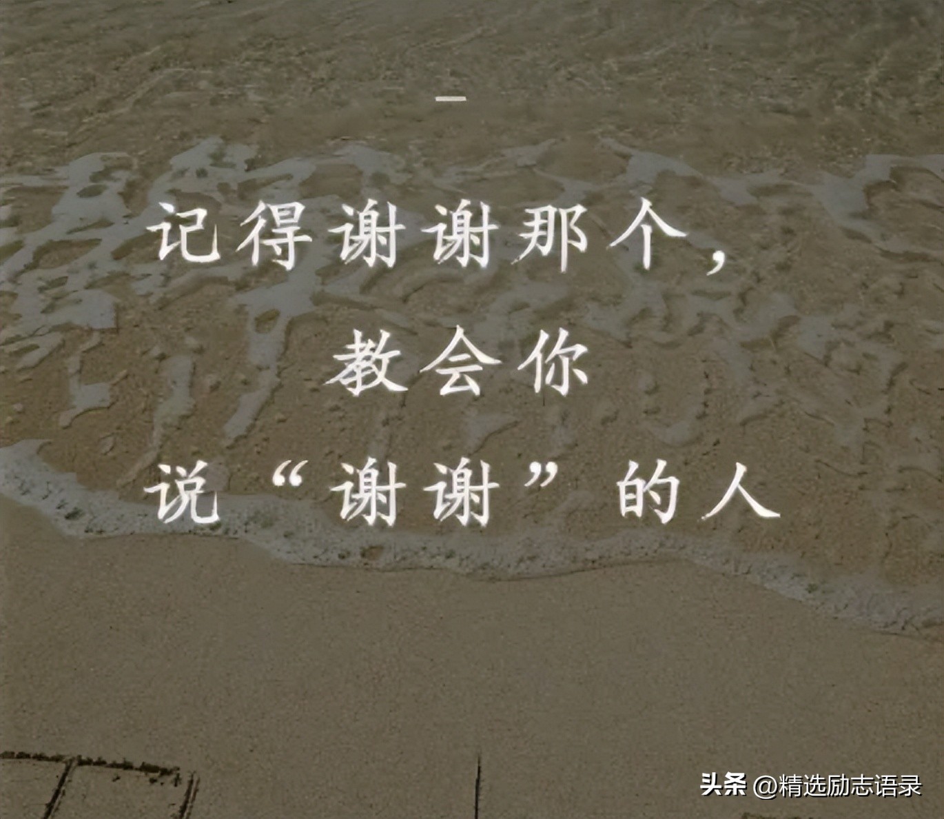 表达内心感谢的句子12句，让你的情感更有深度