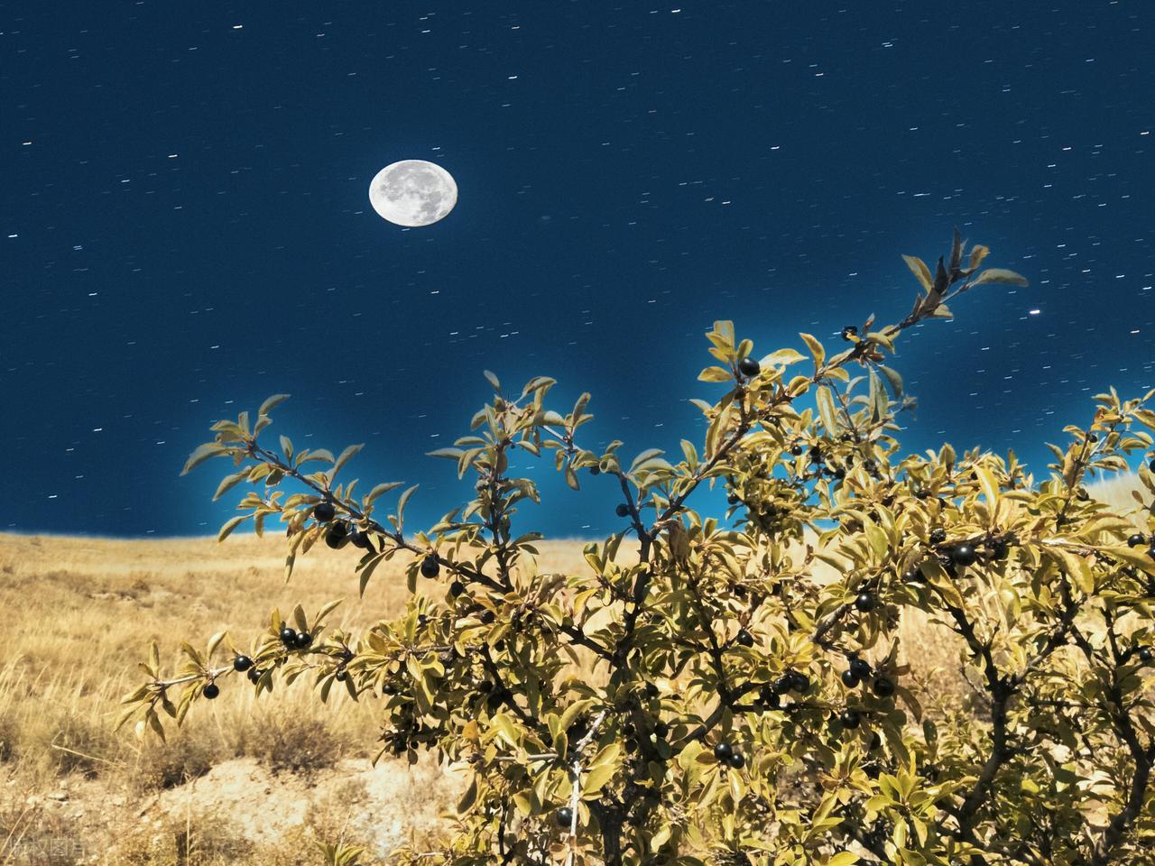 描写夏末初秋的诗句10首，四时俱可喜，最好新秋时