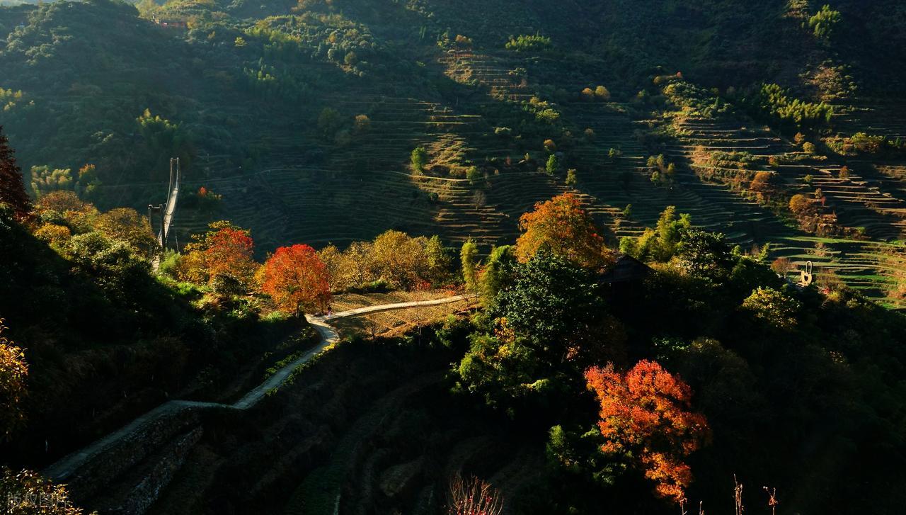 描写夏末初秋的诗句10首，四时俱可喜，最好新秋时