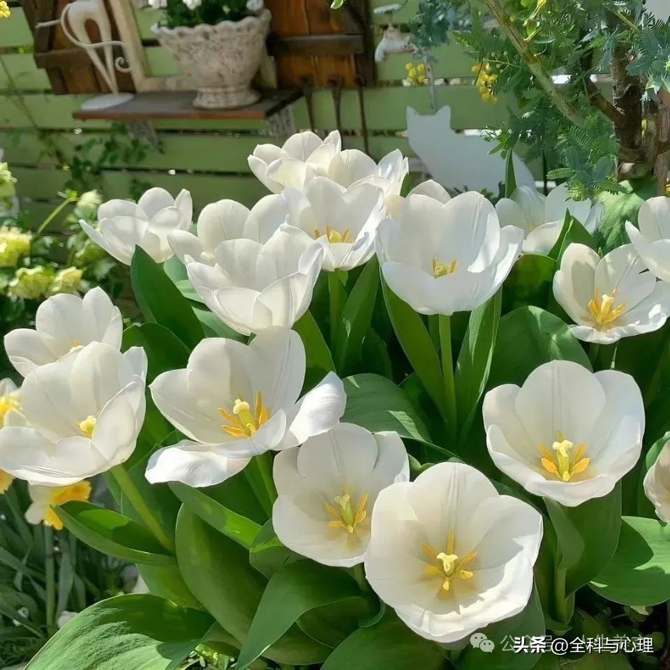 工作励志语录简短14句，燃烧斗志，激活人生!