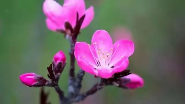 简短人生格言励志短句15句，句句给人力量和光芒！