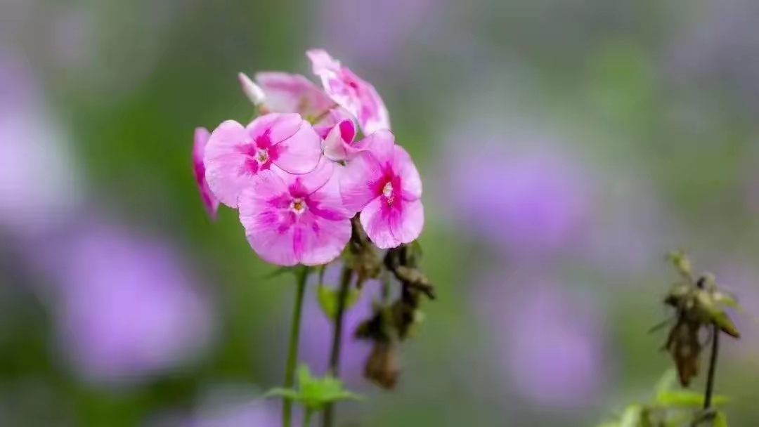 简短人生格言励志短句15句，句句给人力量和光芒！