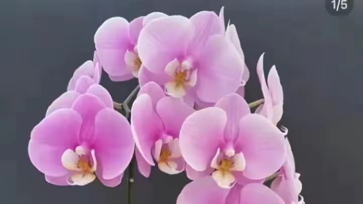 简短人生格言励志短句15句，句句给人力量和光芒！