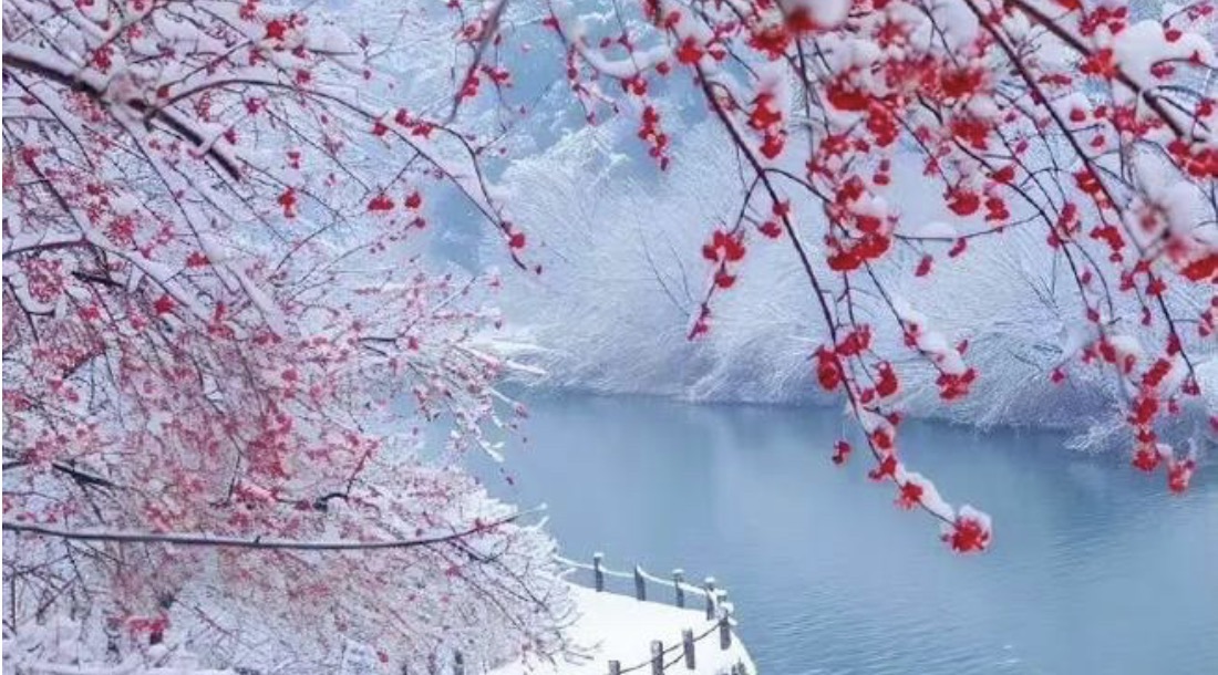 赞美梅花的古诗词句50首，唯美了整个冬天