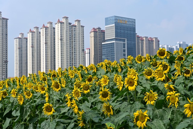 人生经历感悟经典句子18句，句句经典，引人深思!