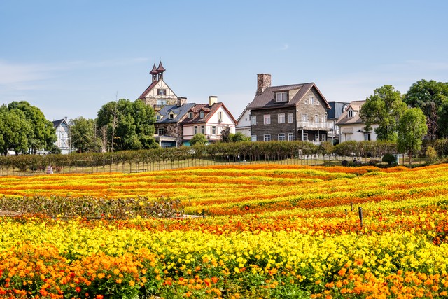 人生经历感悟经典句子18句，句句经典，引人深思!