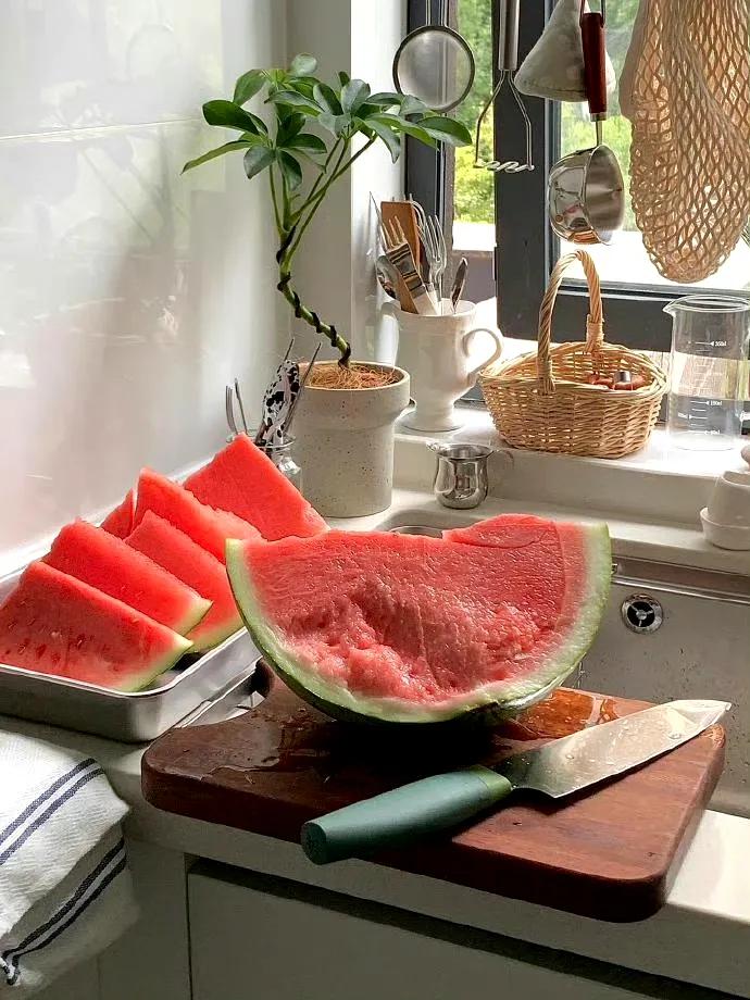 夏天文案短句干净18句，愿你在夏日遇见所有美好