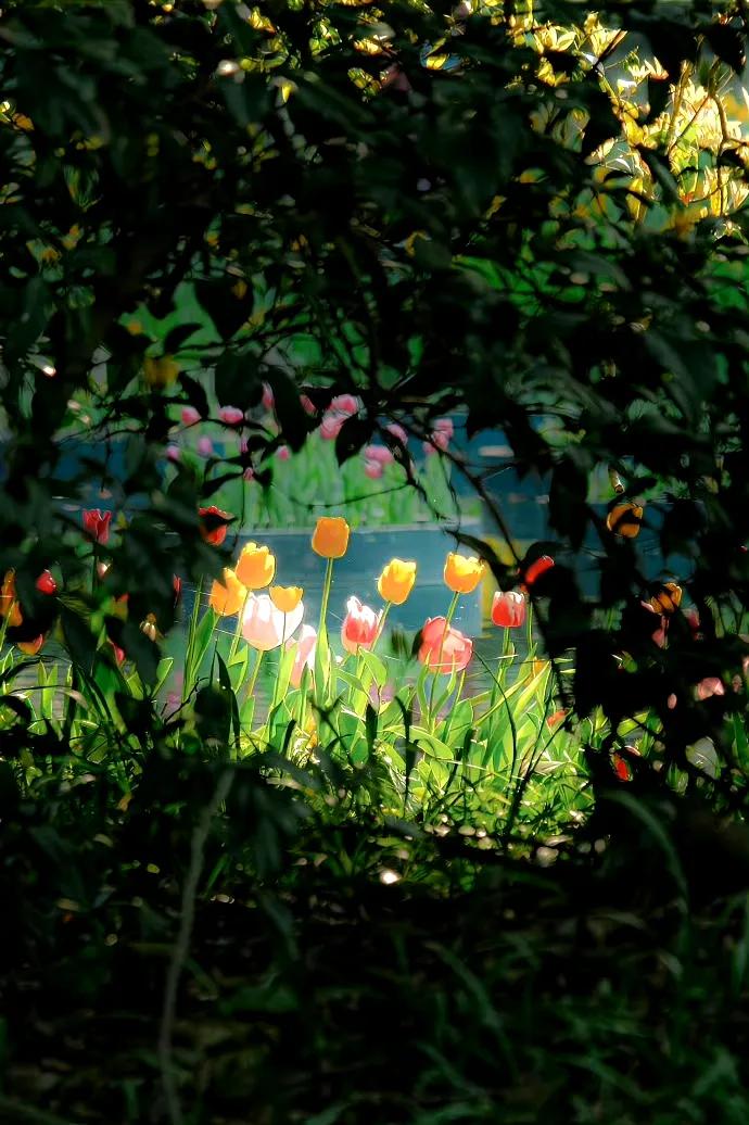 夏天文案短句干净18句，愿你在夏日遇见所有美好