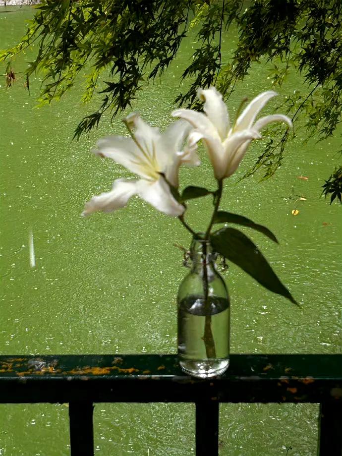 夏天文案短句干净18句，愿你在夏日遇见所有美好