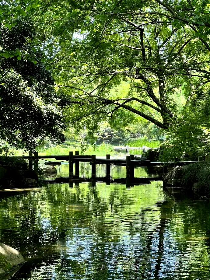 夏天文案短句干净18句，愿你在夏日遇见所有美好