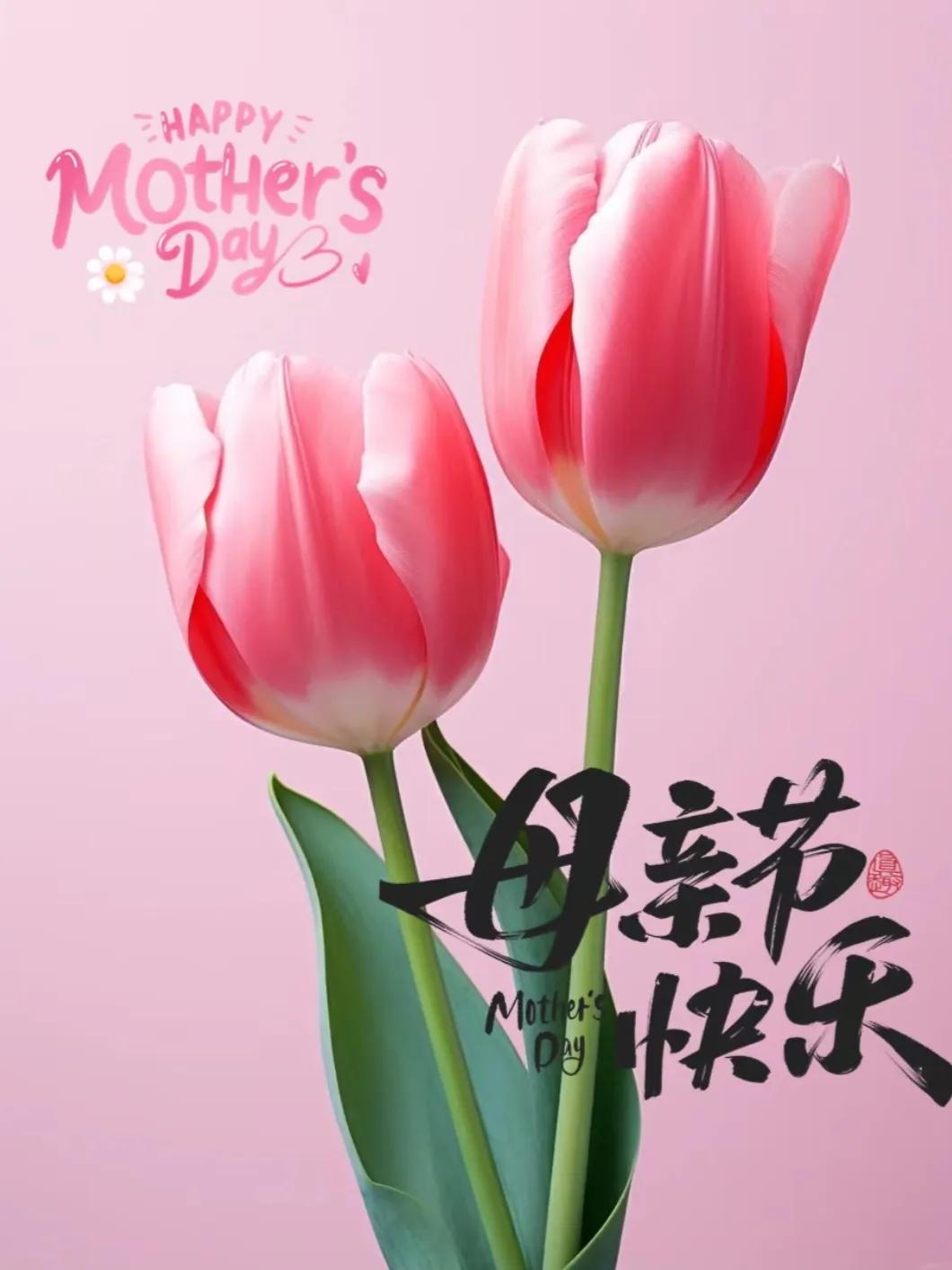 母亲节温馨祝福语简短20句，句句爱意满满