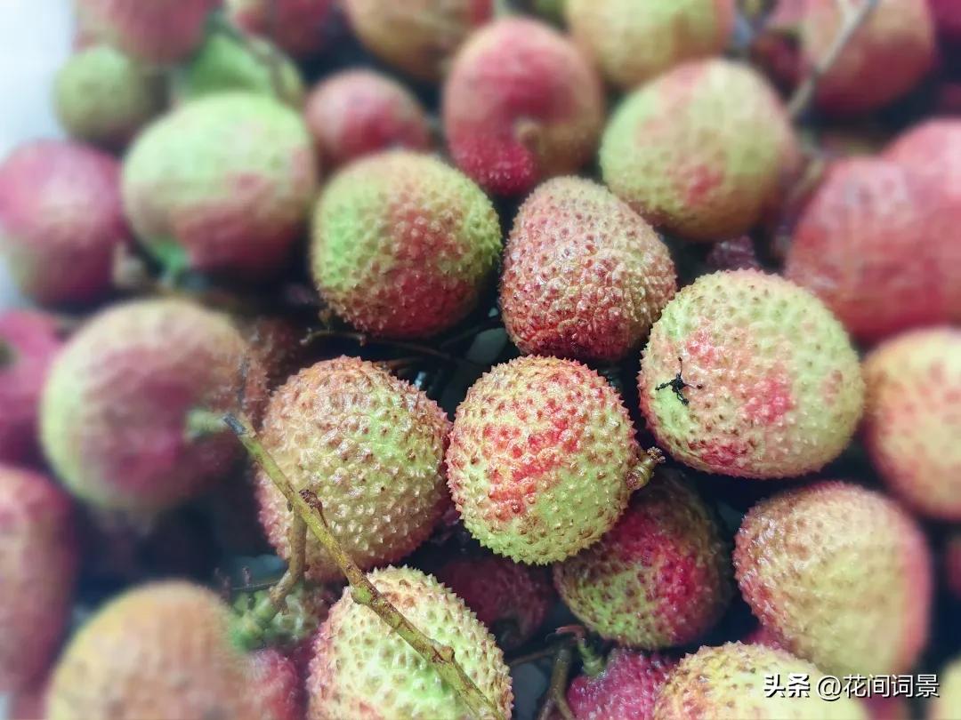 关于夏至的古诗10首，领略千年夏日诗意