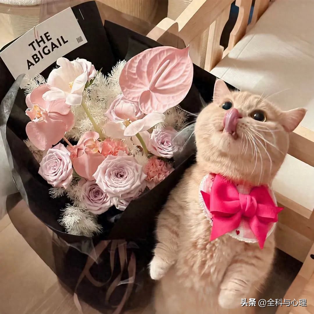 又短又好的句子7句，句句经典，值得细品