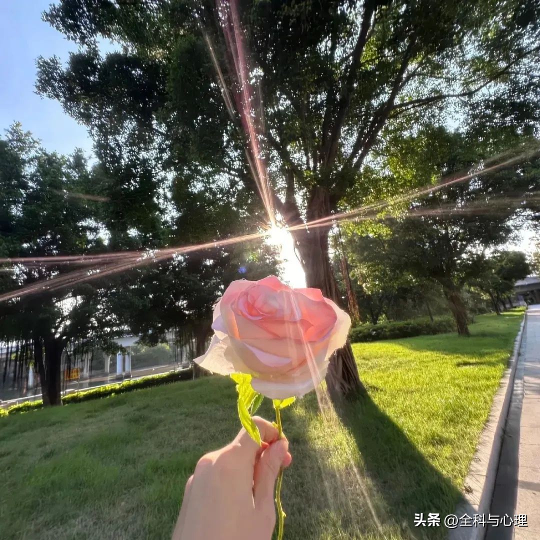 又短又好的句子7句，句句经典，值得细品