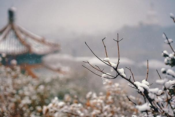关于冬雪的诗句32句，总有一场雪为你而来