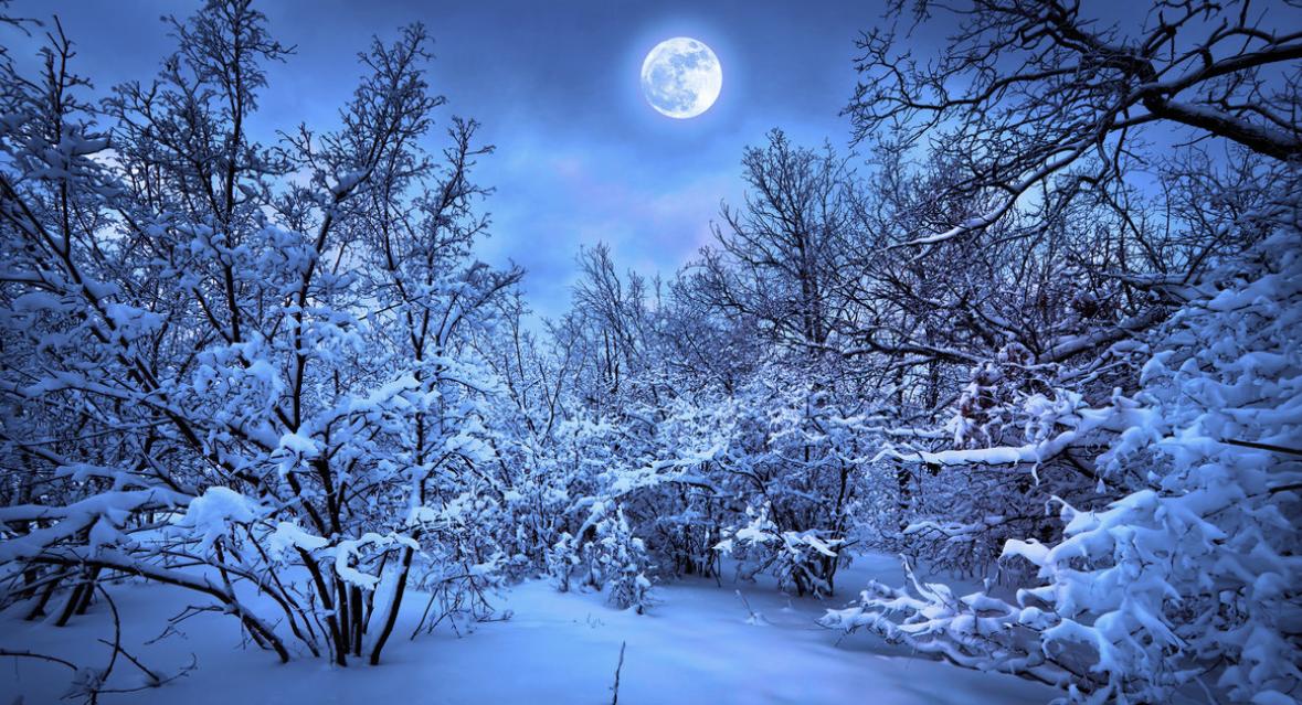 关于冬雪的诗句32句，总有一场雪为你而来