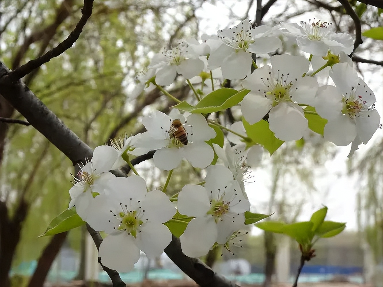 古风唯美短句100句，带你体验古装的梦幻与浪漫!