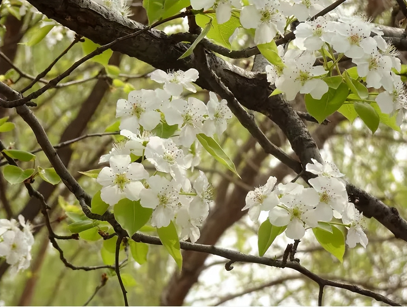 古风唯美短句100句，带你体验古装的梦幻与浪漫!