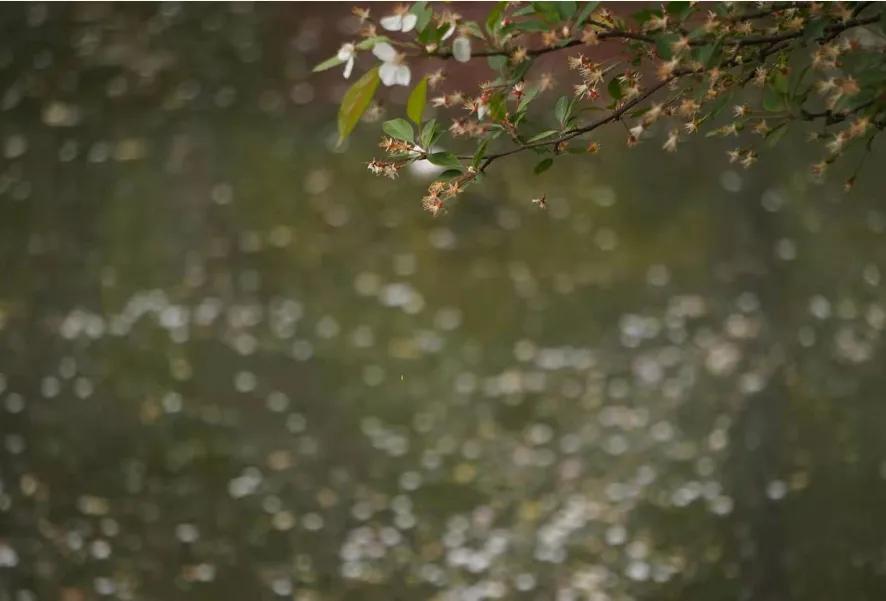 古风唯美短句100句，带你体验古装的梦幻与浪漫!