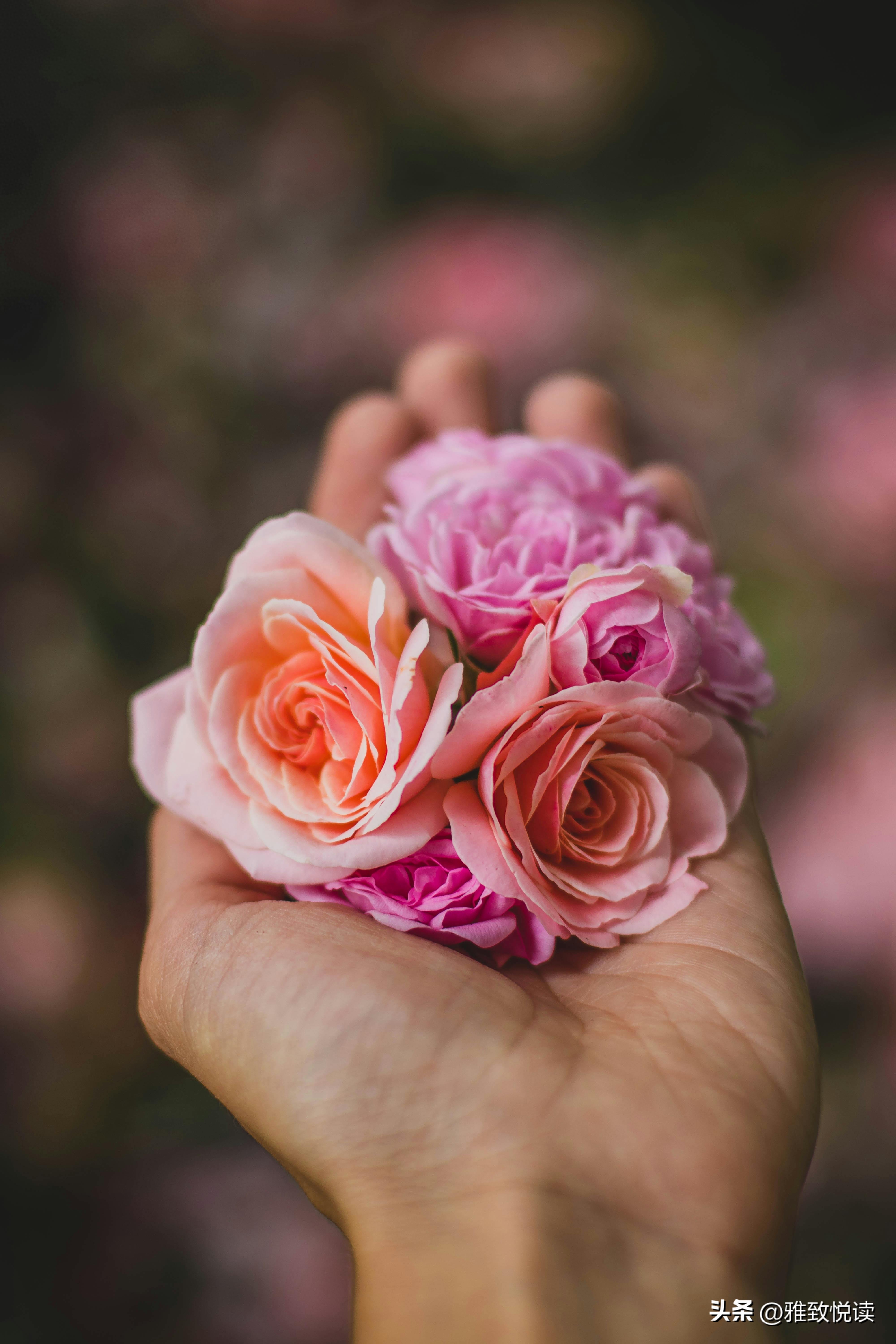 简短的爱情句子9句，遇一人相爱，守一生缱绻