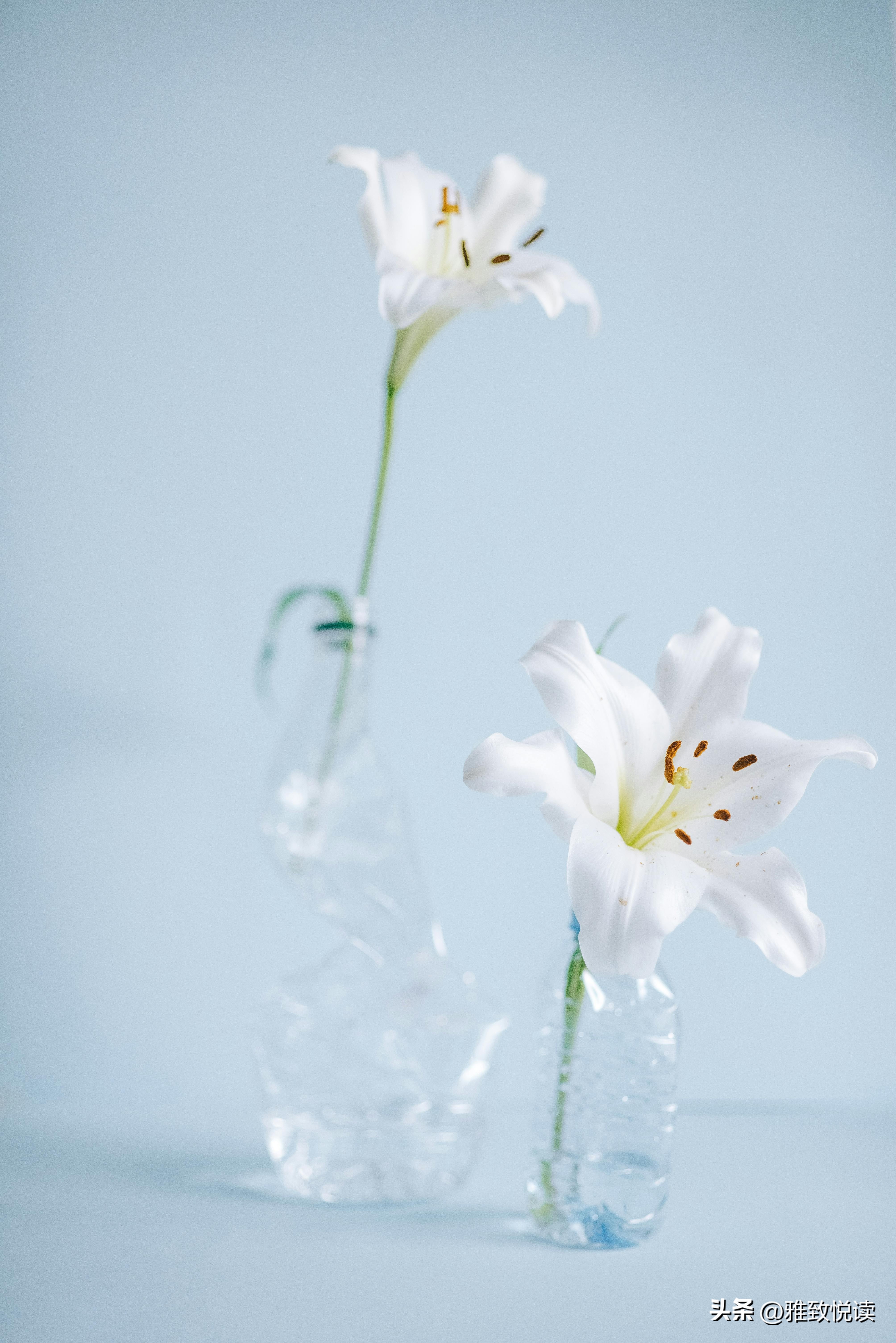 简短的爱情句子9句，遇一人相爱，守一生缱绻