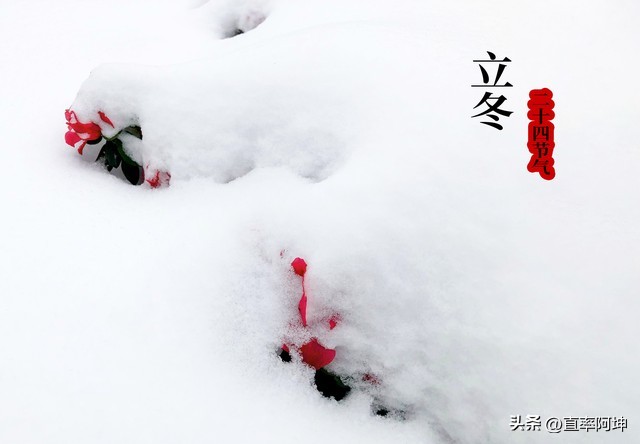 立冬祝福语10句，句句唯美暖心!