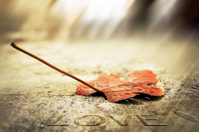 怀念过去的唯美句子18句，带你重温那些美好时光!