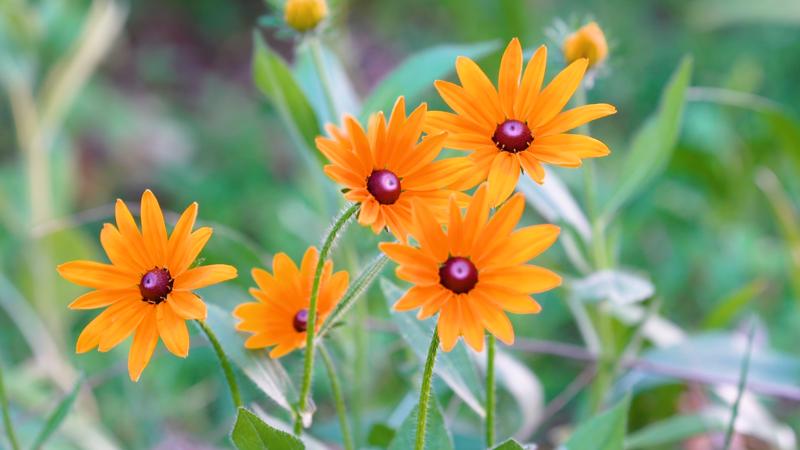 微笑的唯美短句19句，点亮你的每一天!